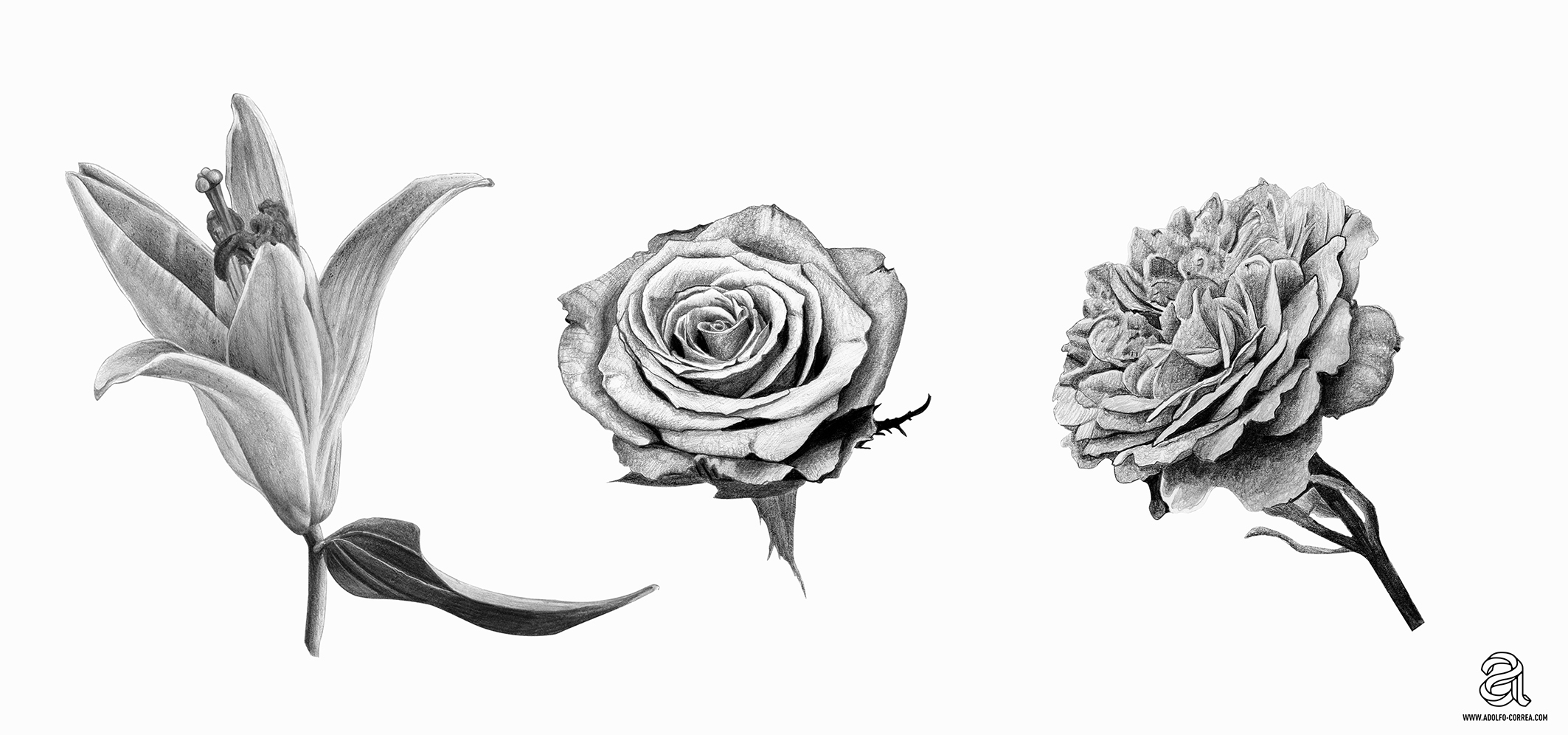 flores-dibujo-1-small