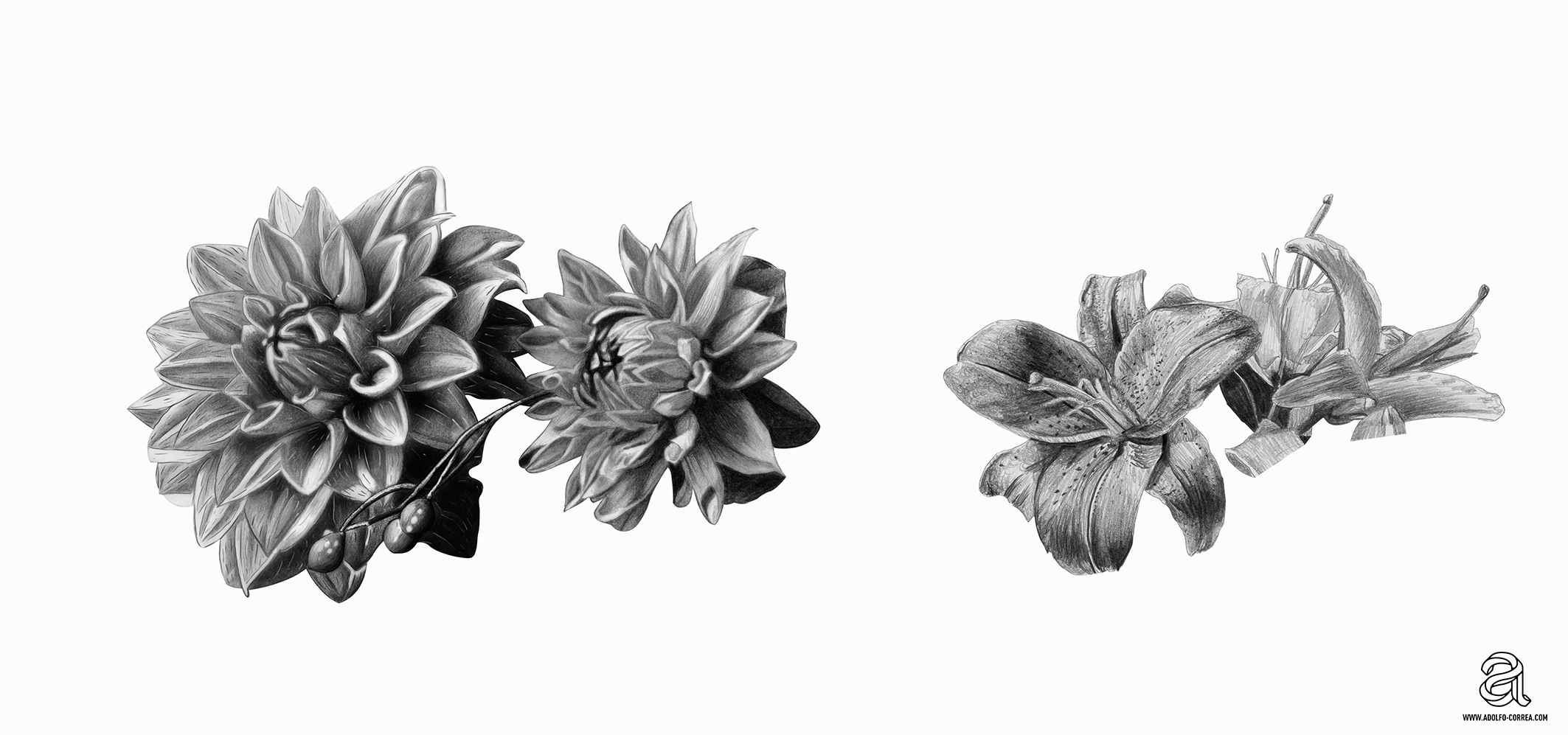flores-dibujo-3-small