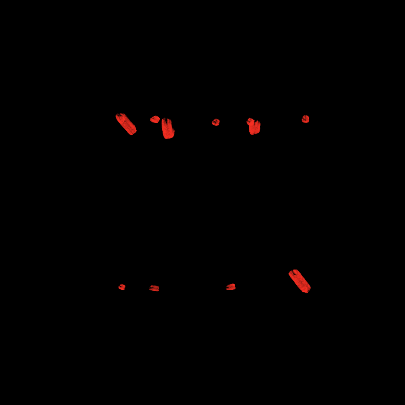 loop9